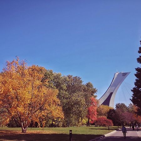 Homa Homestay Hotel By Olympic Stadium Montreal Auberge-Hostel エクステリア 写真
